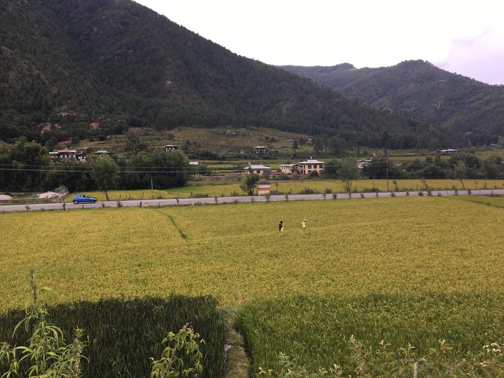 Ama'S Village Lodge Paro Bagian luar foto