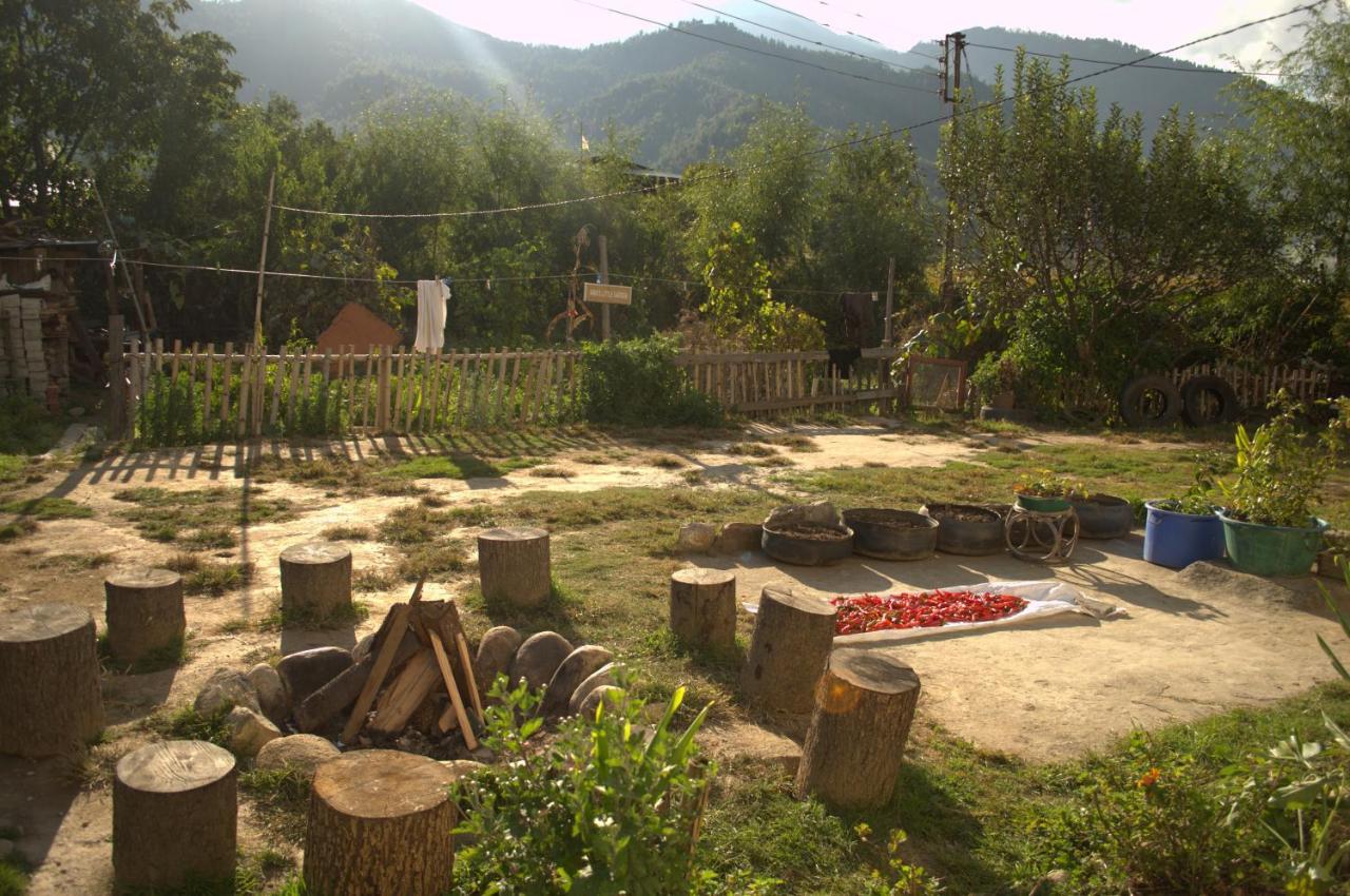 Ama'S Village Lodge Paro Bagian luar foto